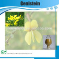 Sophora Japonica Extrakt natürliche Genistein 98%